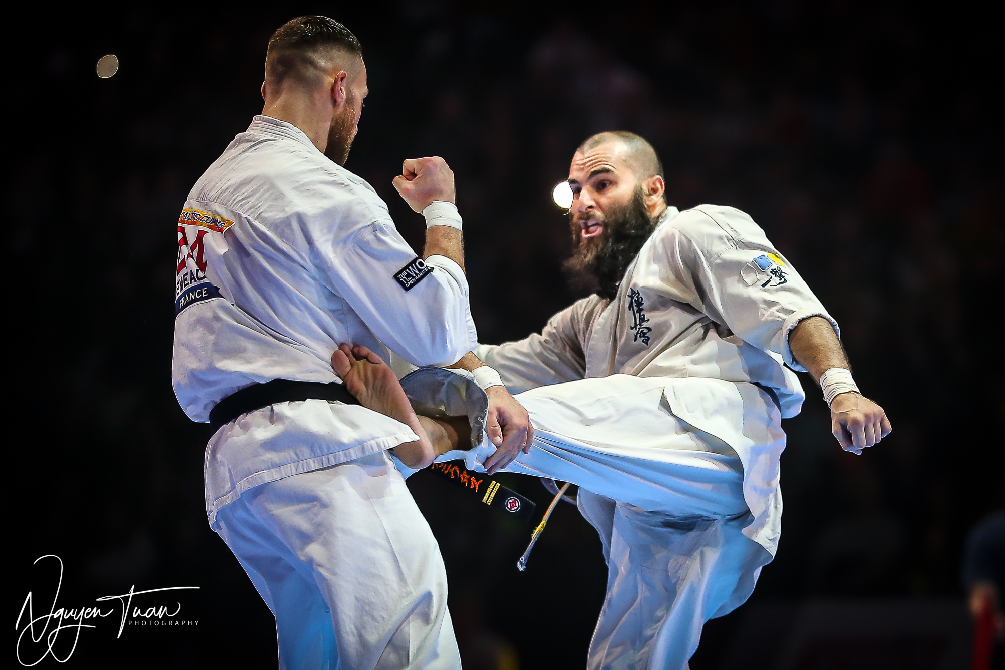 20190324 Festival des Arts Martiaux 6161